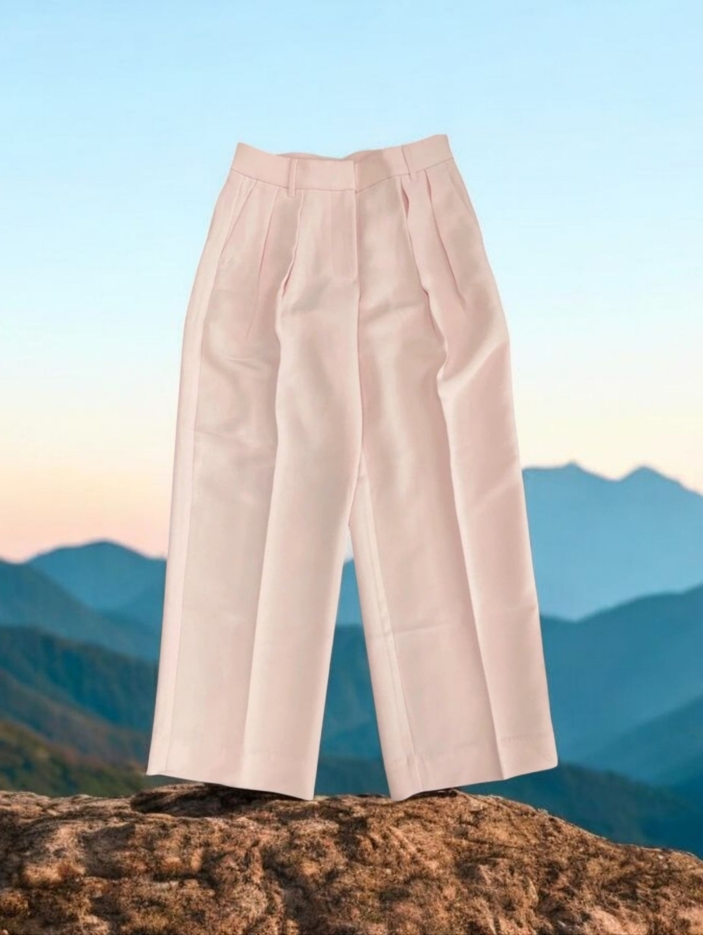 Banana Republic Wide-Leg Pleated Women’s Pants in Light Pink Size 2P